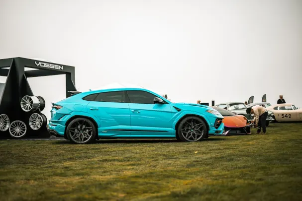 WinTomato Casino Application Android/iOS